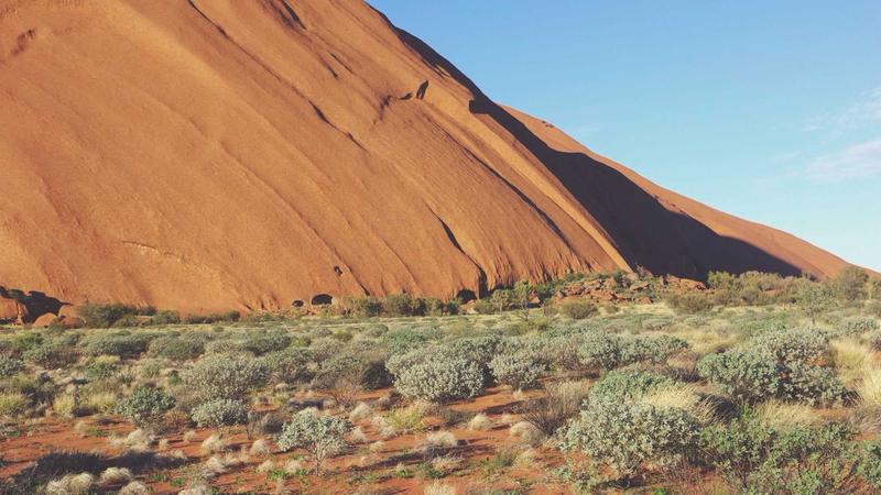 Featured image for Agntkit Net article