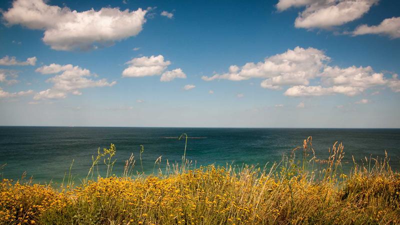 Featured image for Agntkit Net article