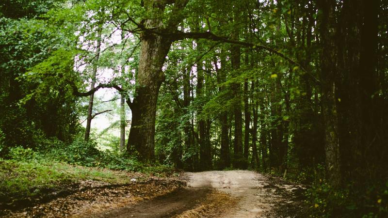 Featured image for Agntkit Net article