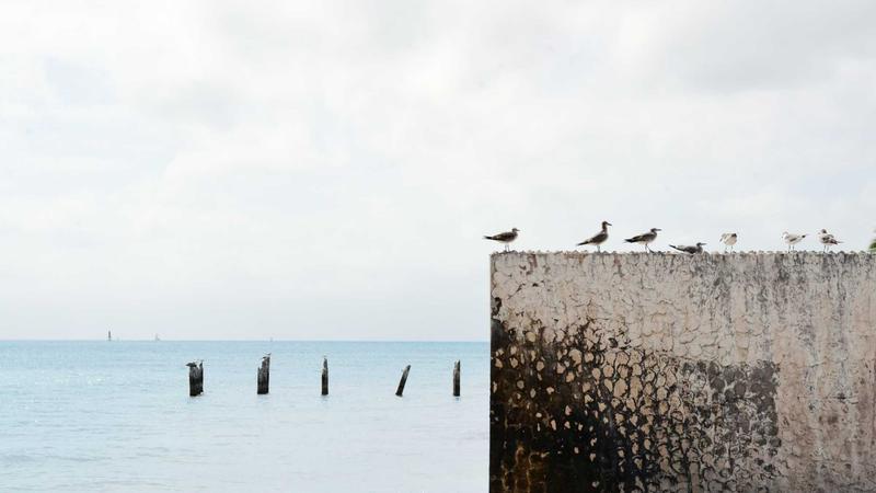 Featured image for Agntkit Net article