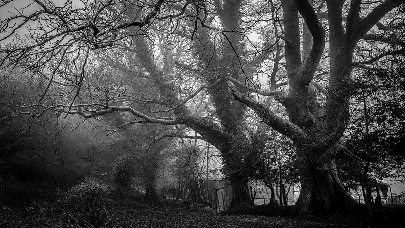 Featured image for Agntkit Net article