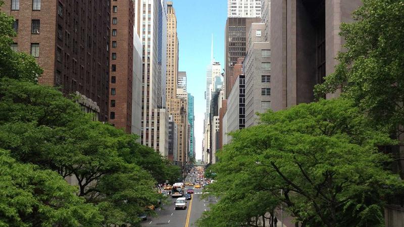 Featured image for Agntkit Net article