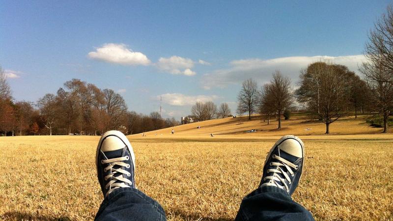 Featured image for Agntkit Net article