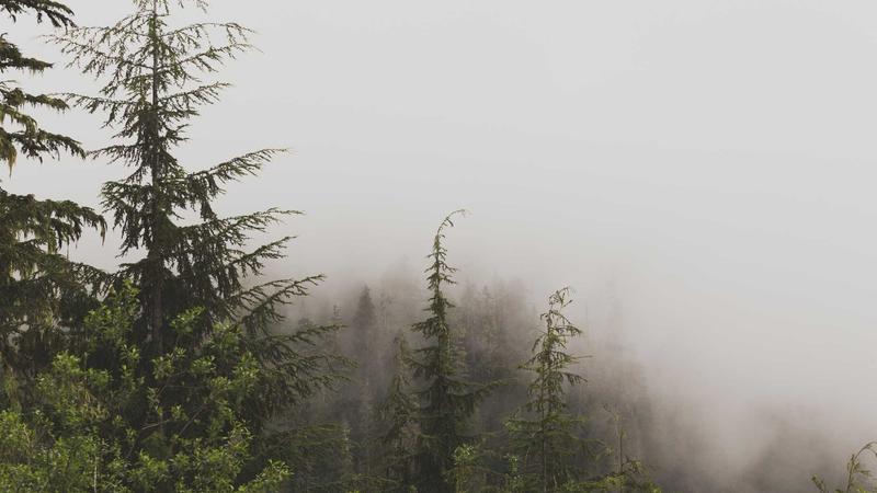 Featured image for Agntkit Net article