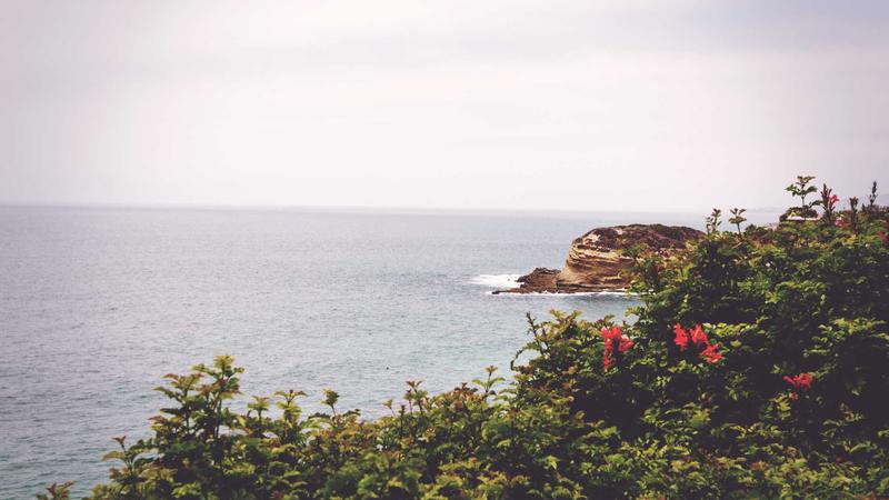 Featured image for Agntkit Net article