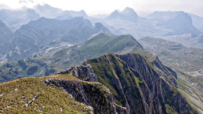 Featured image for Agntkit Net article