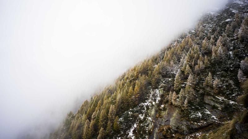 Featured image for Im Drowning in Starter Kits: My Solo Op Struggles