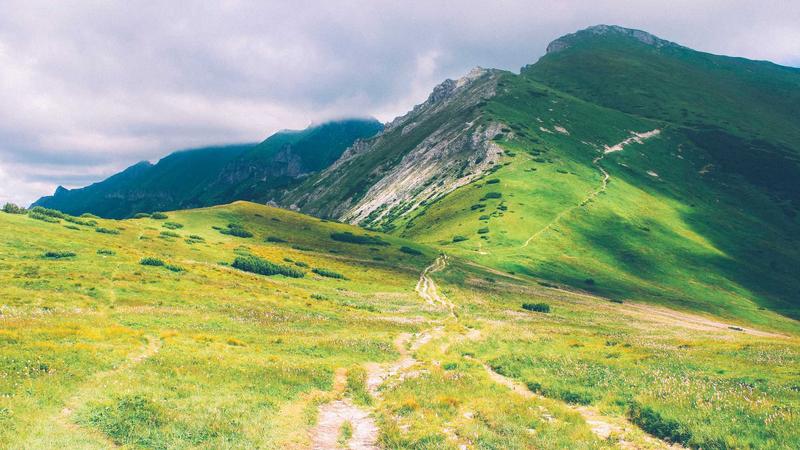 Featured image for Agntkit Net article