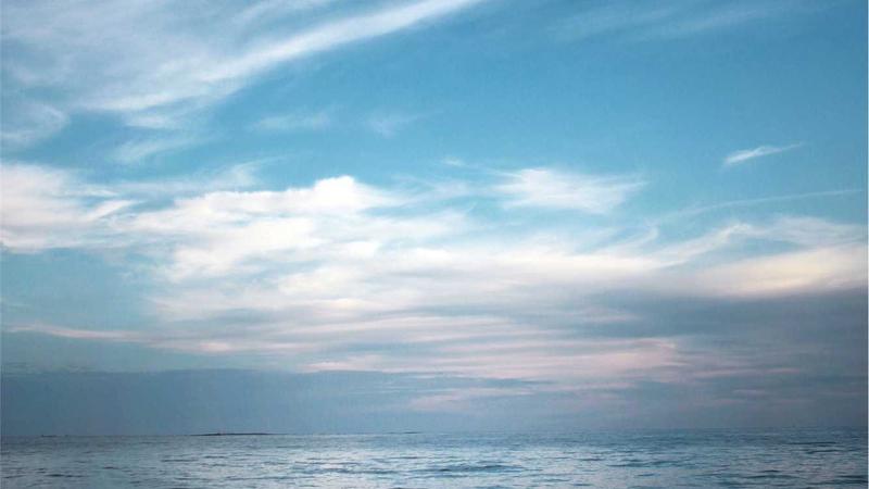 Featured image for Agntkit Net article