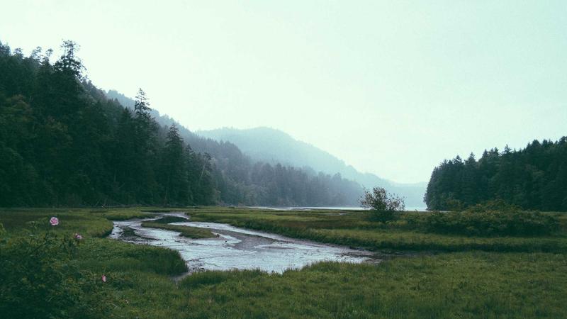 Featured image for Agntkit Net article