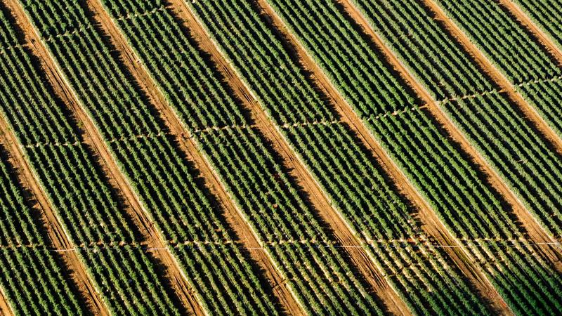 Featured image for Agntkit Net article